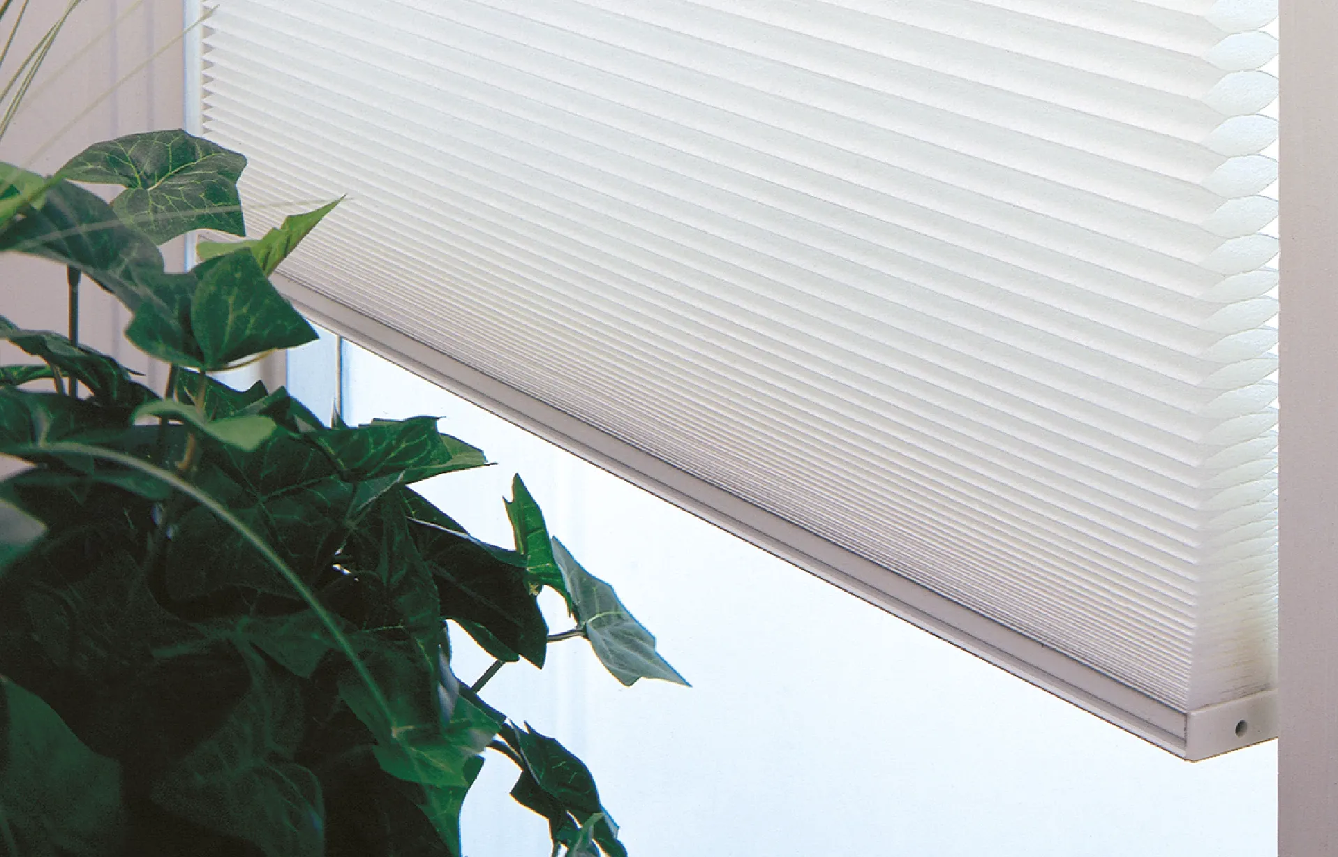 Estas persianas son ideales para colocar dentro del marco de la ventanta, logrando así un mejor control de la luz natural.