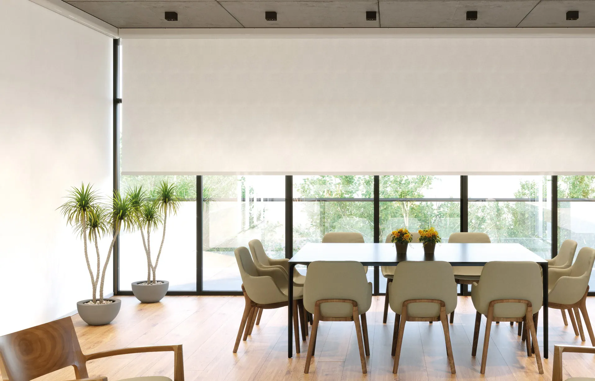 Esta línea de persianas enrollables para grandes dimensiones brindan beneficios que sobresalen la pura estética. Logrando así demandas arquitectónicas y decorativas específicas.